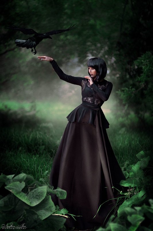 вороныphoto preview