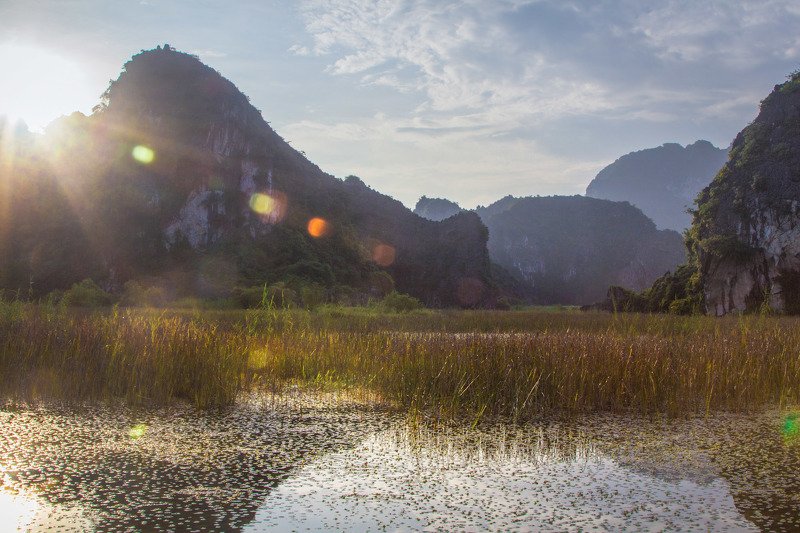 Vân Long swampphoto preview