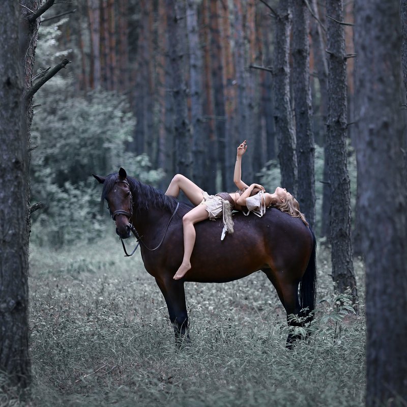 амазонка, лошадь, девушка на лошади, доверие, сосновый лес Амазонкаphoto preview