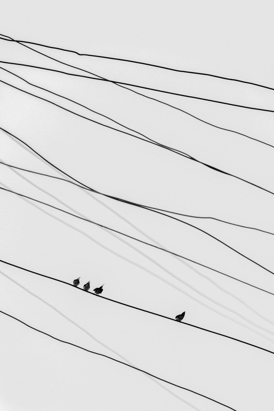 mohib ali photography Lonelinessphoto preview