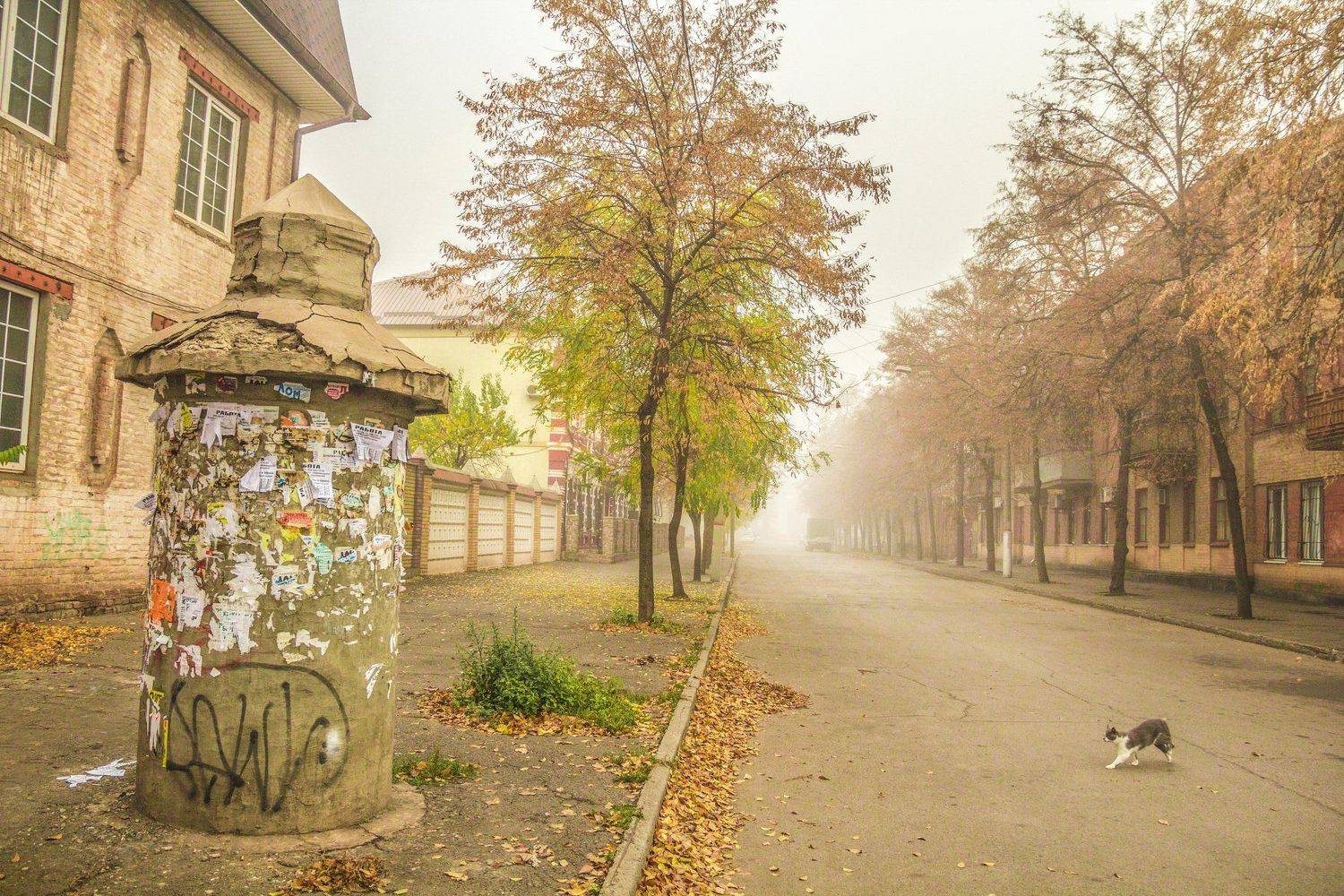 Конец сезона. Автор: Игорь Квочка пейзаж, город, туман, Игорь Квочка