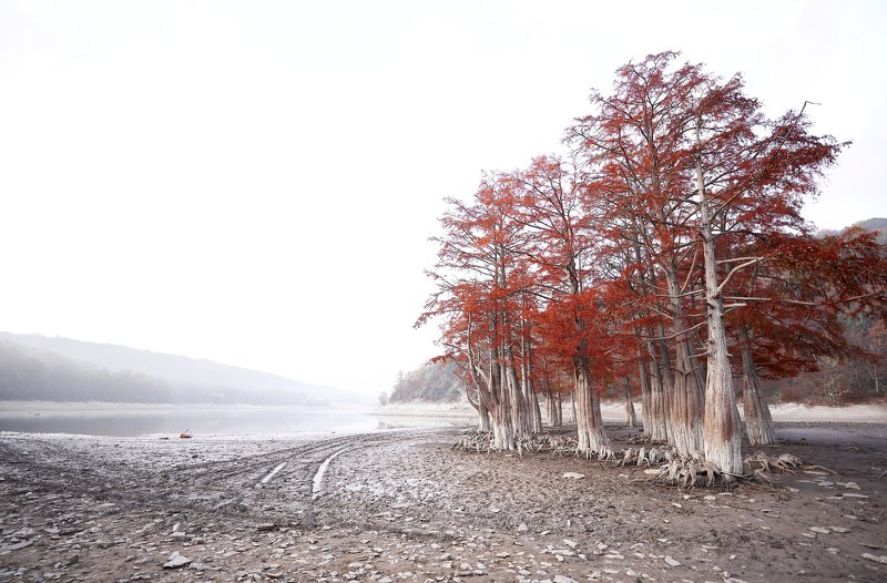 Кипарисовое озероphoto preview