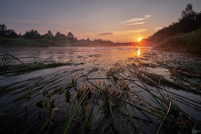 утро,река,молога,рассвет,пейзаж,лето,трава,солнце Утро на рекеphoto preview