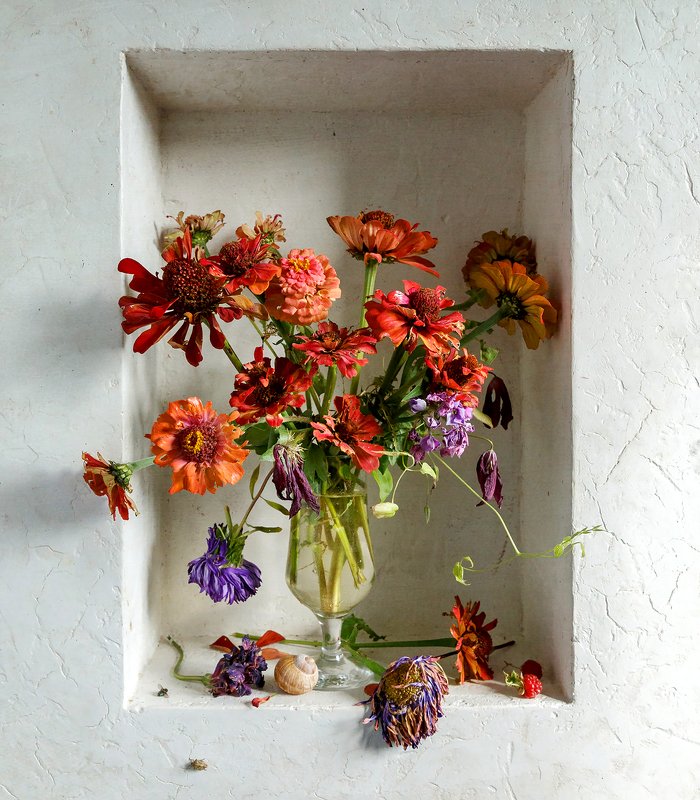 Конец лета. Циннии.photo preview