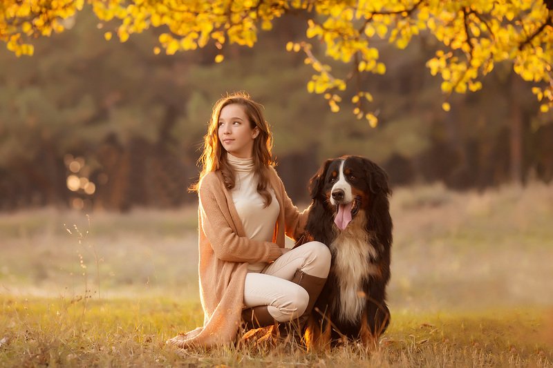 В лучиках солнцаphoto preview