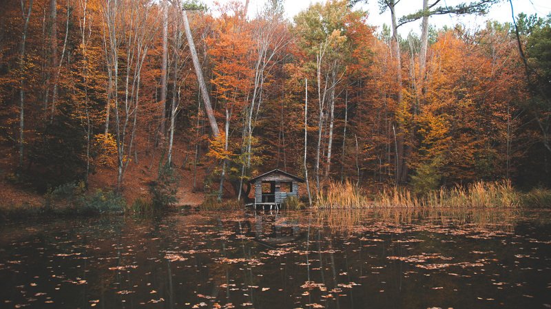 Черепашье озероphoto preview