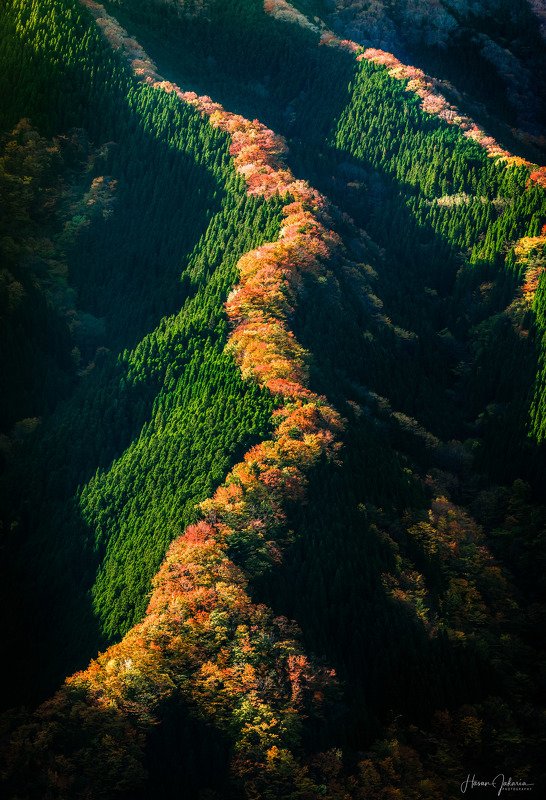 nature landscape japan mountain morning nara autumn colors Miracle Valley Namegophoto preview
