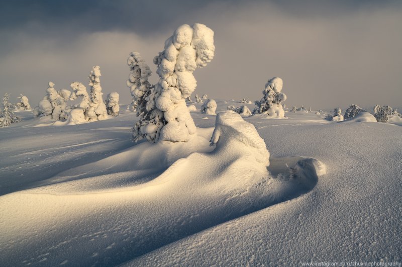 Россия Лес зимойphoto preview