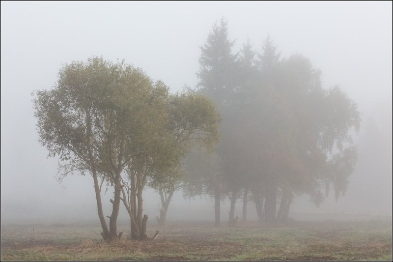 россия, калужская обл В туманной тишинеphoto preview