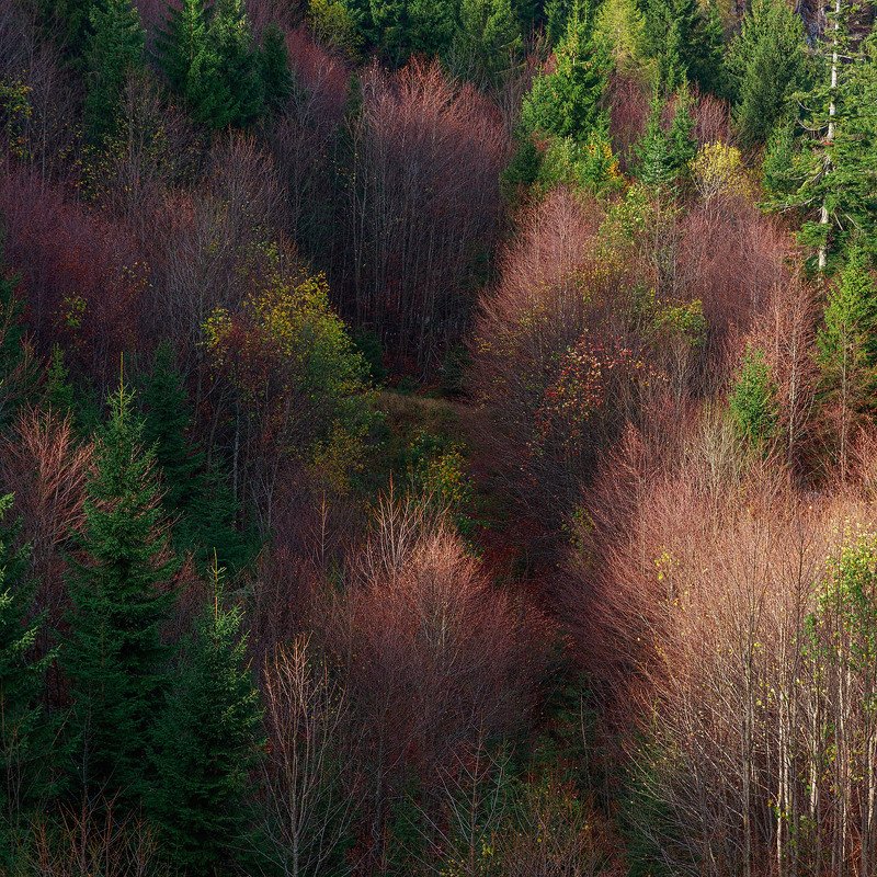 Игра светаphoto preview