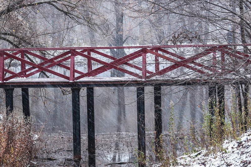 снег,метель,природа,мост метельphoto preview