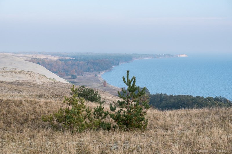 Вид на мыс Грабст. НП Куршская косаphoto preview