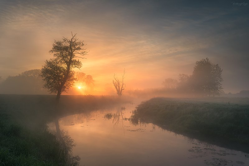 morning, fog, trees, river, nature An Enchanted Momentphoto preview