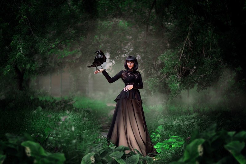 вороныphoto preview