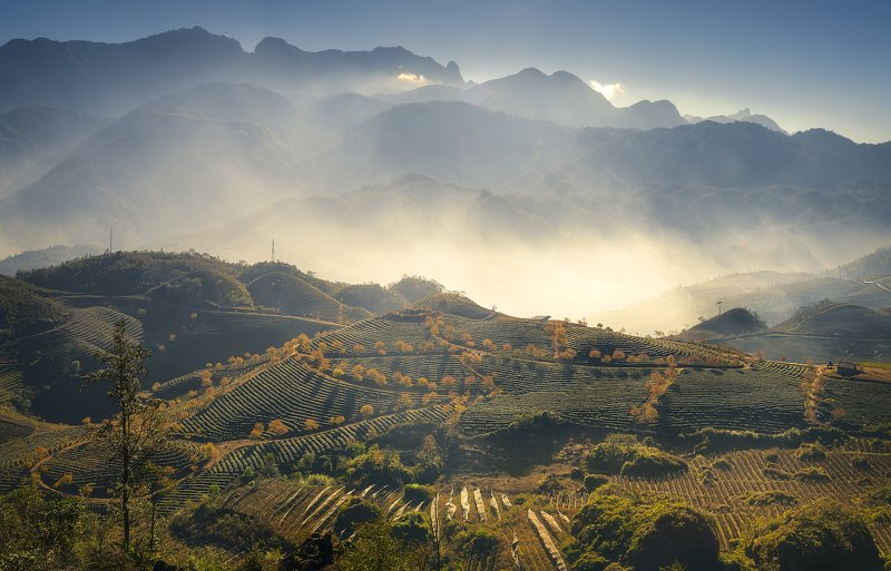 Sunset on the tea hillphoto preview