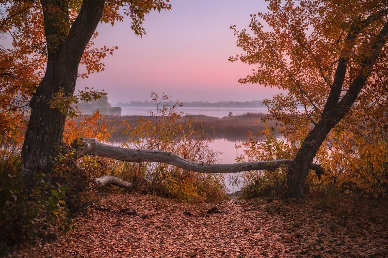 киев, днепр, оболонь, осень Другой Киевphoto preview