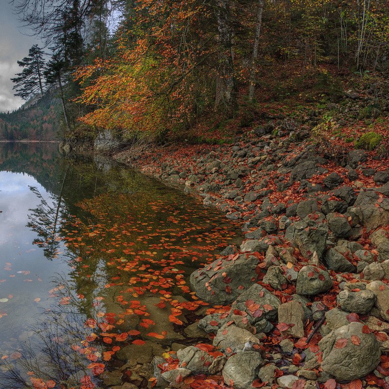Осеннее...photo preview