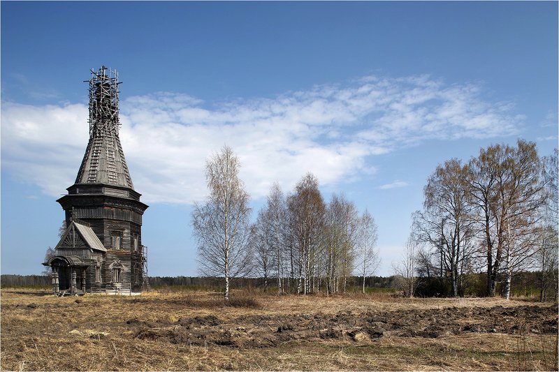 весна, поле, храм, деревянный храм, реставрация, север, русский север, каргополье, Май.photo preview