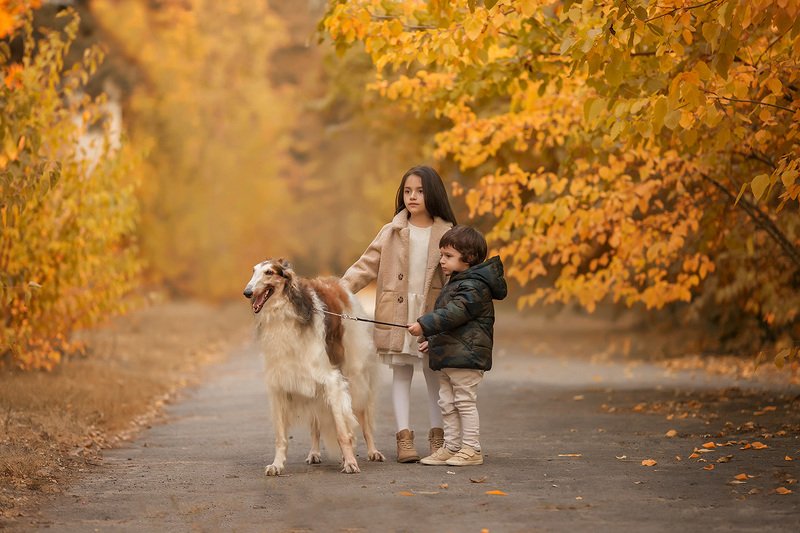 Осенняя прогулкаphoto preview