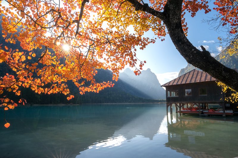 Золото Доломитовое фото превью