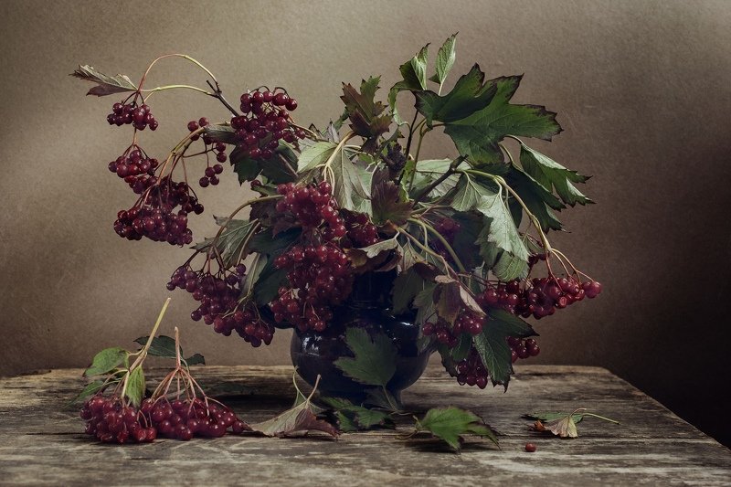 цветы, калина, осень, стол Натюрморт с калинойphoto preview