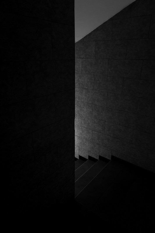 mohib ali photography From the Dark to the Lightphoto preview