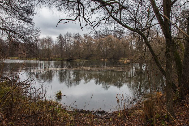 Поздняя осеньphoto preview