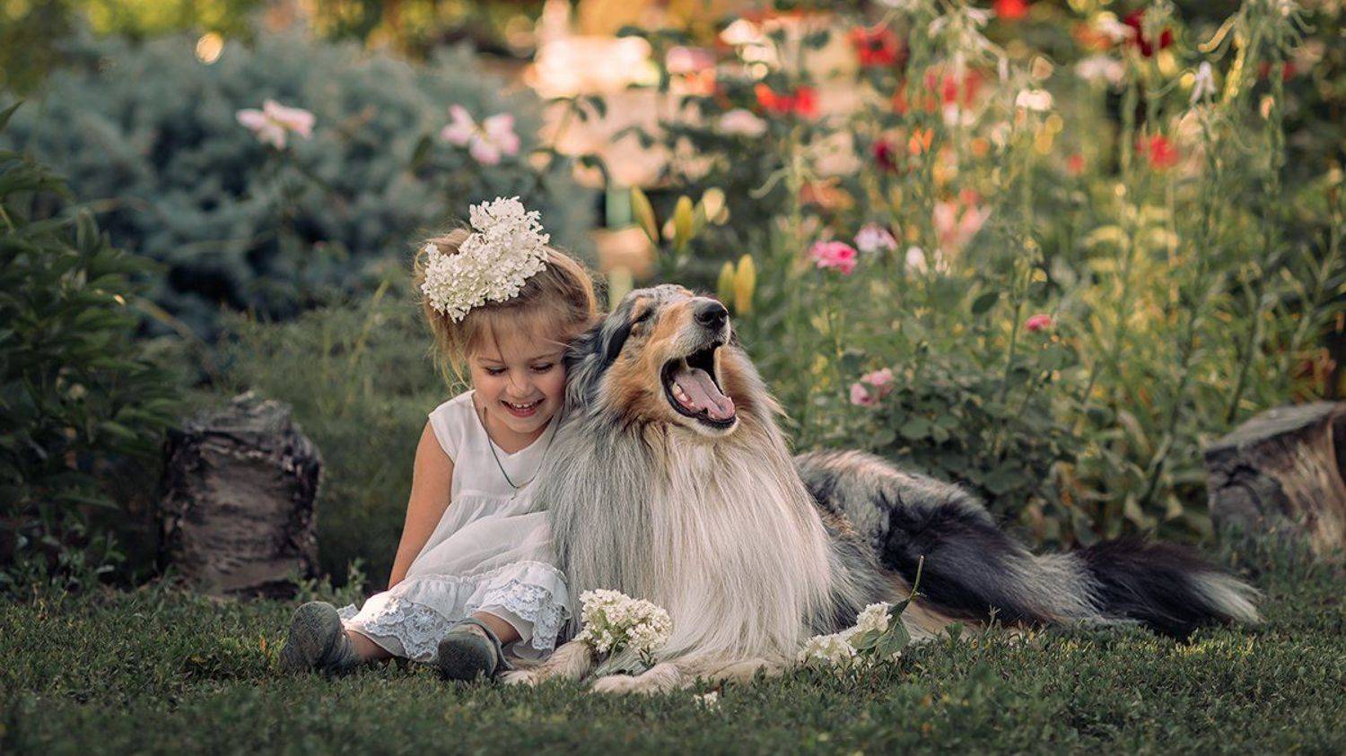 Сладкая парочка. Автор: Мария , Мария