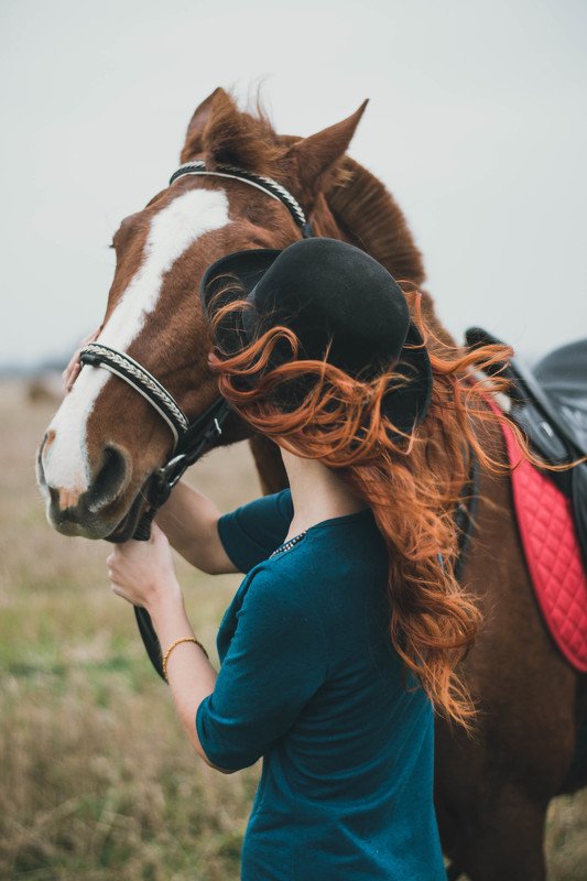 red autumnphoto preview