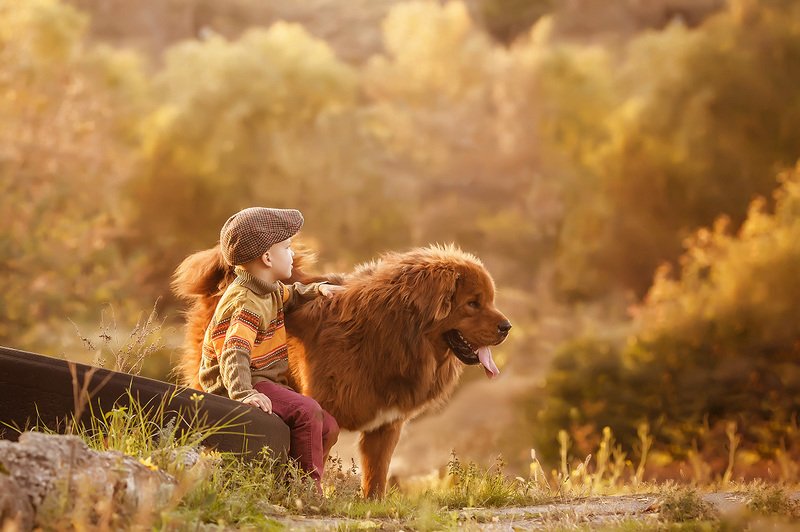 Верный другphoto preview