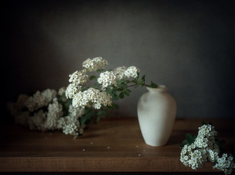 весна, натюрморт, спирея С веточками цветущей спиреи.photo preview