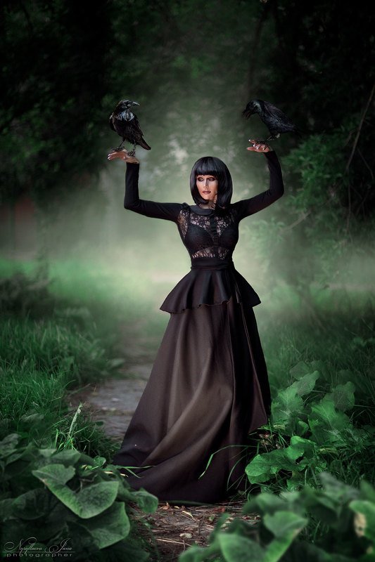 вороныphoto preview