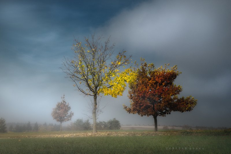 осень , zanfoar,czech republic,bohemia,moravia,nikon d750,деревья, пейзаж, туман,чехия Осеньphoto preview