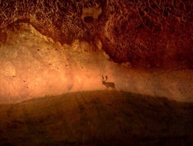 Last November...photo preview