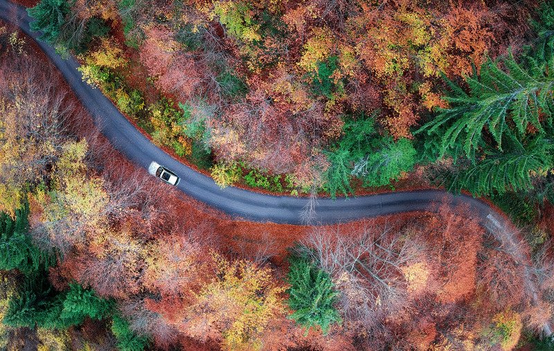 Colorfulphoto preview