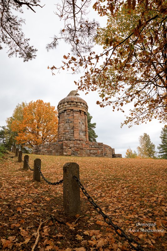 Беларусь  Десятникиphoto preview