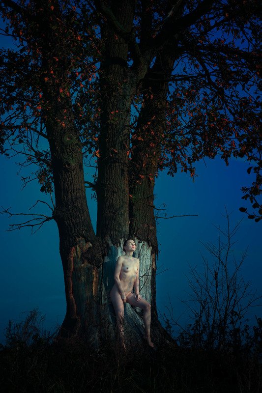 girl, woman, арт, женщина, nude, ню, девушка, модель, model Moonlight Walkerphoto preview