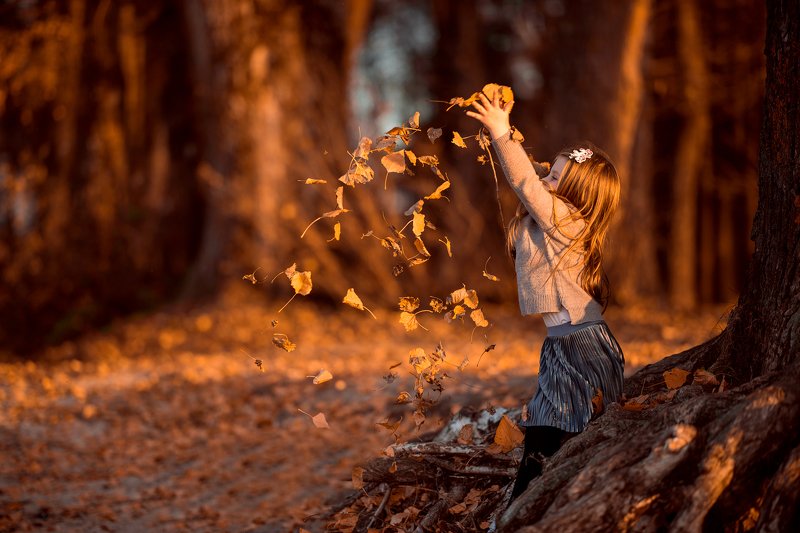 Золотая осеньphoto preview