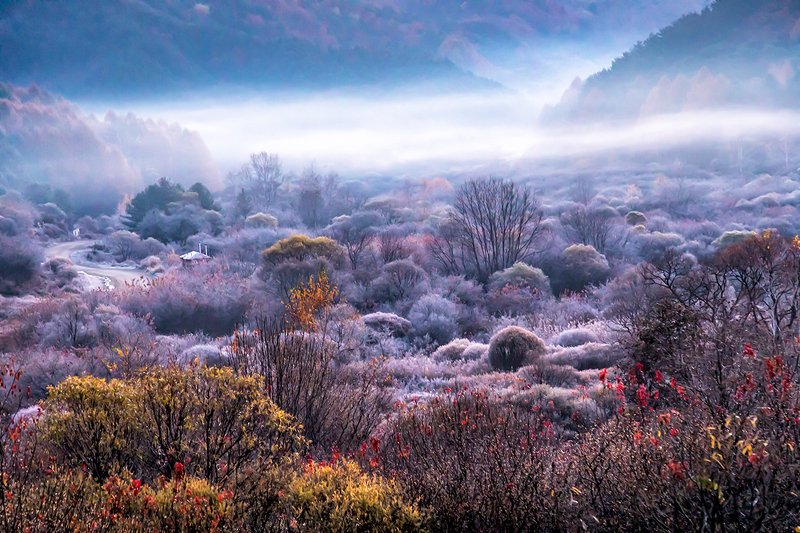 Secret Gardenphoto preview