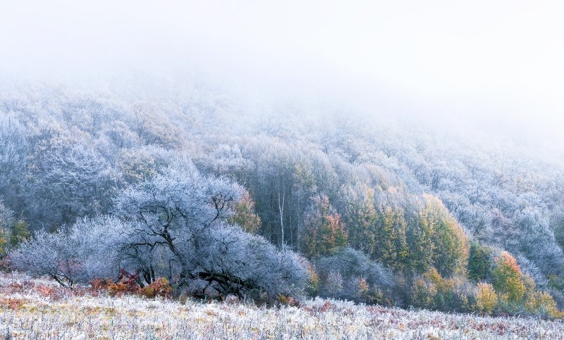 Про позднюю осень и туманное утро...photo preview