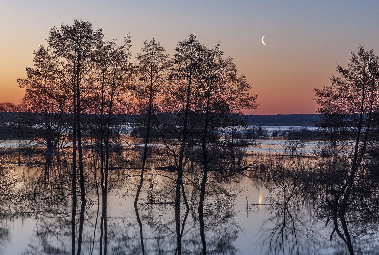 Восход Луны в пойме реки Воронеж. Автор: Дмитрий Новоселов , Дмитрий Новоселов