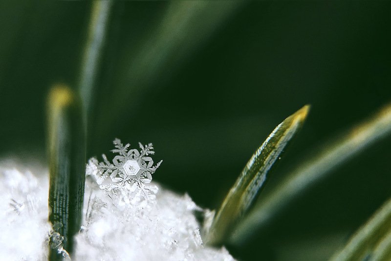 южный, урал, губерля орск, новотроицк Снежка.photo preview