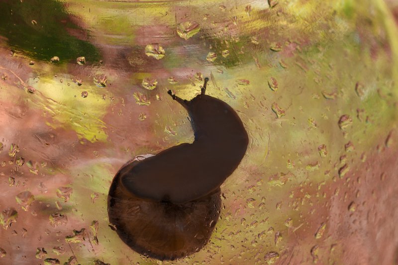 Лирика..photo preview