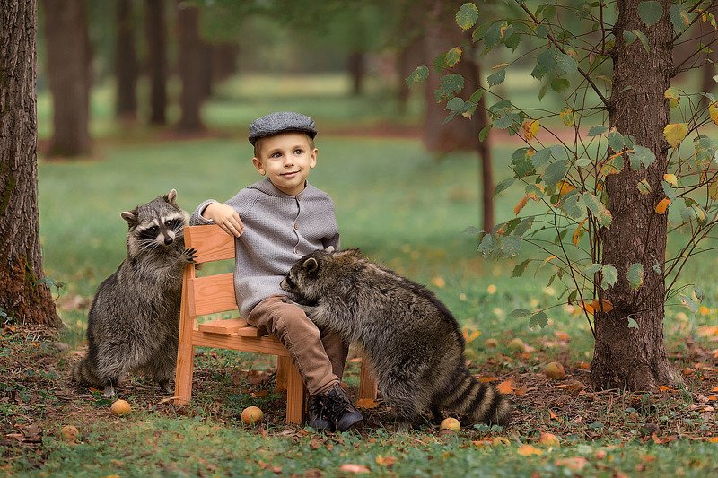 фотограф, зеркальный фотоаппарат canon mark iii, фотопрогулка, мальчик, осень, закат, ребенок, фотосессия с животными, детский фотограф, малыш, енот, енотик, счастье, радость, дети на фото, семейная фотография, любовь, детская фотосессия, восторг Друзьяшкиphoto preview