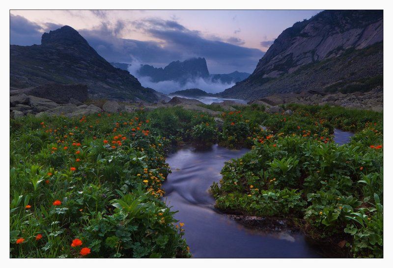 ергаки, оз., горных, духов ЦВЕТЫ ГОРНЫХ ДУХОВphoto preview