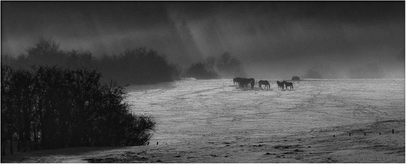 на перевалеphoto preview