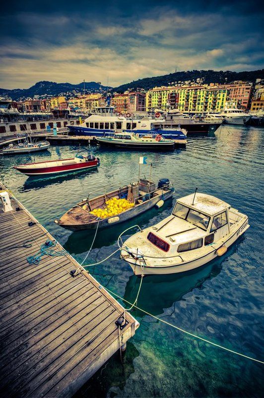 Port of Nicephoto preview