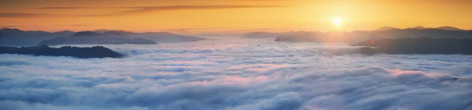 ***. Автор: Денис Кривой , Денис Кривой