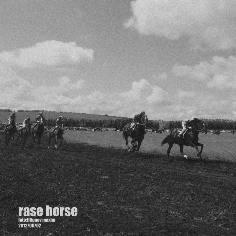 RASE HORSEphoto preview