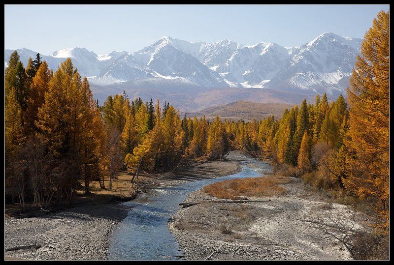 алтай, река, актру Долина Актру (осень)photo preview